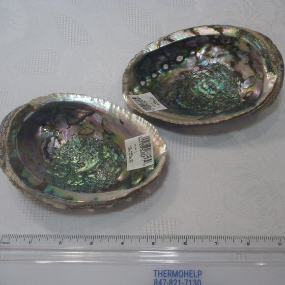 2 pcs Set Large Abalone Seashell Sea Snail Shell Smudge Smudging Bowl décor - Picture 1 of 11